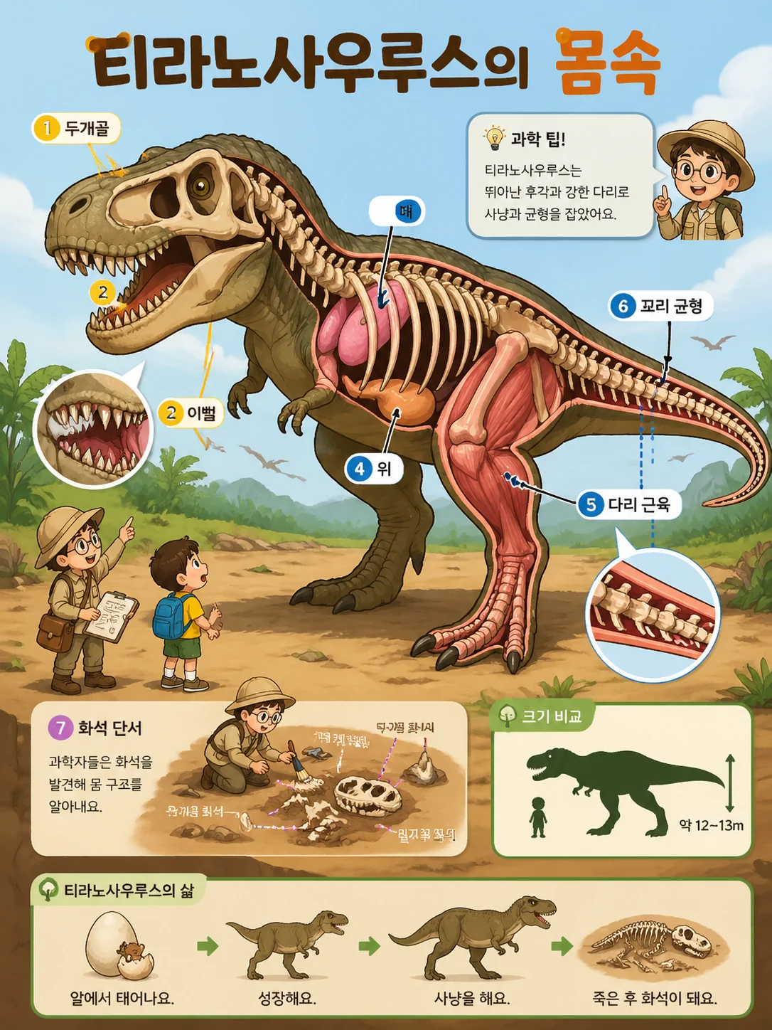 공룡 몸속 단면 과학 그림책 예시