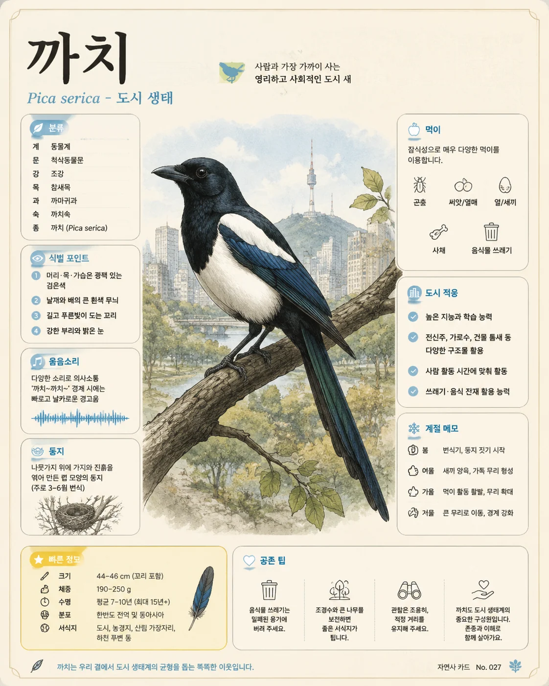 한국어 까치 도시 생태 도감 카드