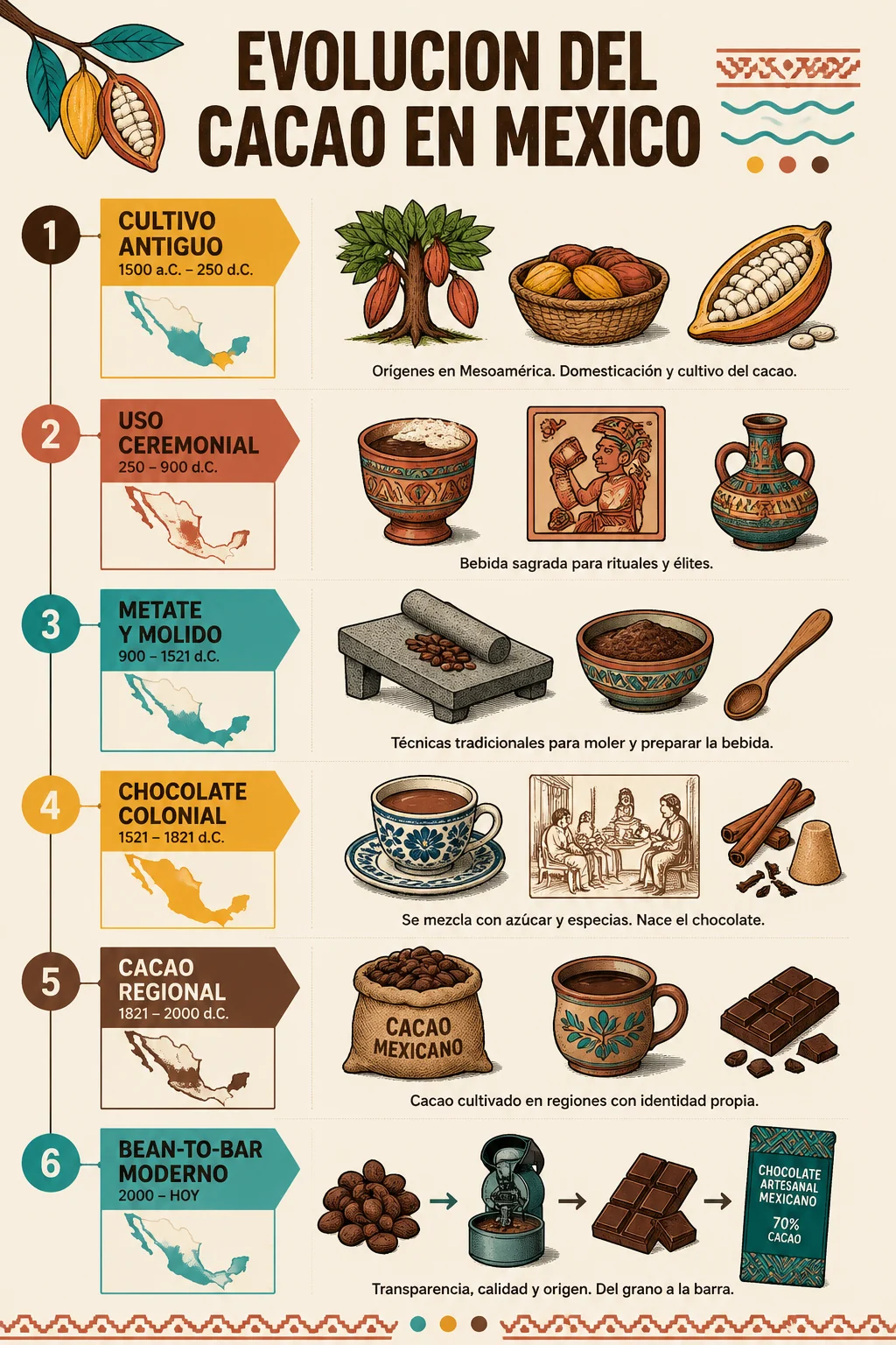 Infografia de la evolucion del cacao mexicano