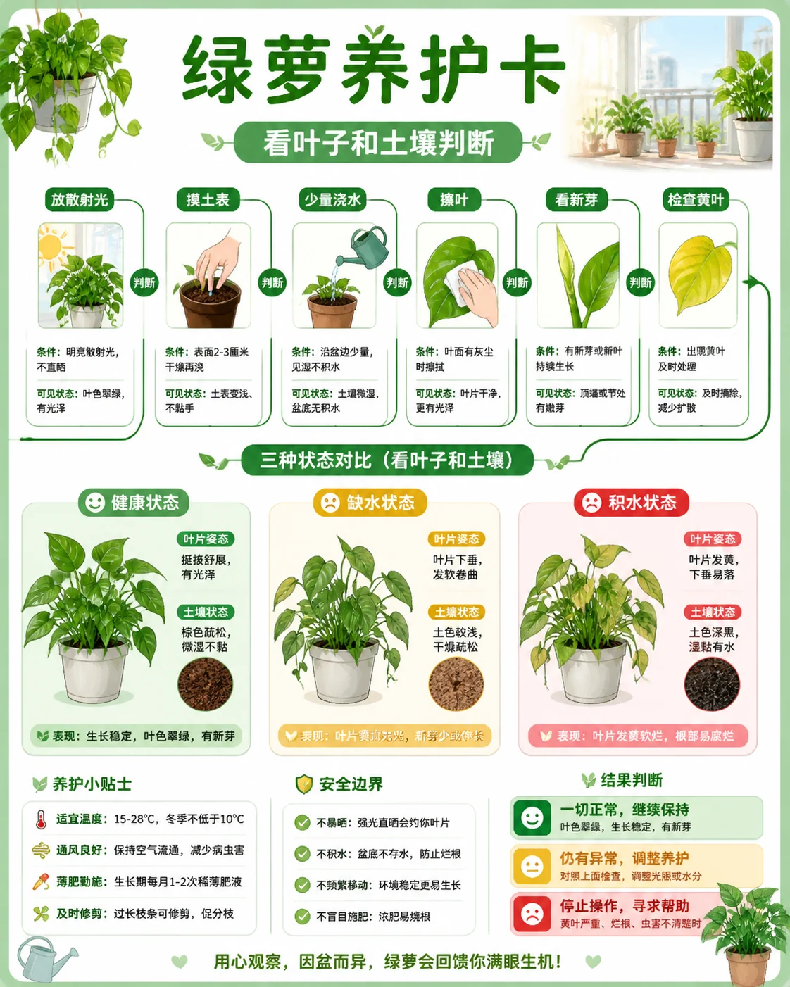 简体中文绿植养护信息卡示例